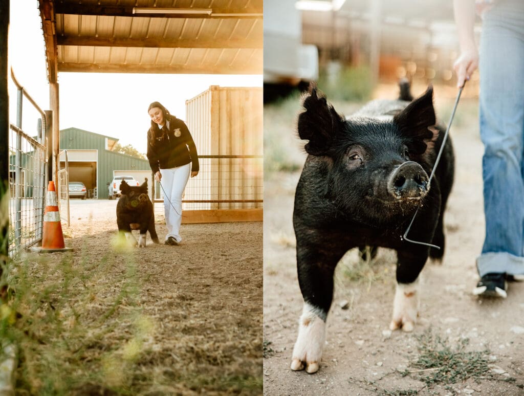 Lily and Dolly for a blog post about FFA and the California mid-state fair in Paso Robles, CA