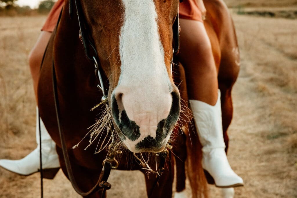 Maryn with her horse Kitty during a senior session on a cattle ranch in Cayucos.